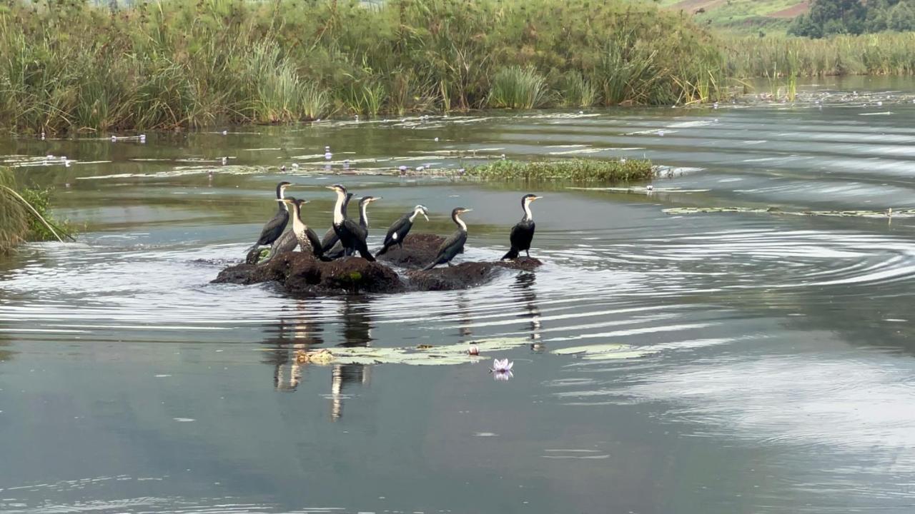 Lake Bunyonyi Rock Resort Kabale Εξωτερικό φωτογραφία